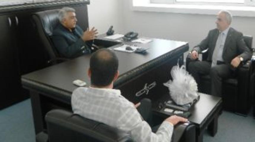 Satso'dan Gazelle'ye Ziyaret