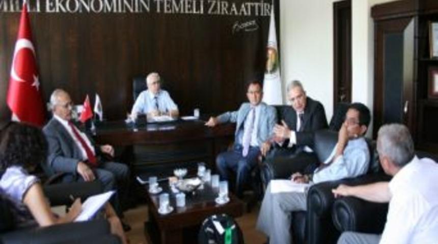 Amerikalılar Bursa Siyah İnciri İ&ccedil;in Geldi