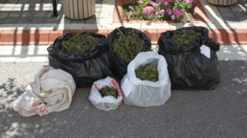 Manavgat'ta 15 Kilo Esrar Ele Ge&ccedil;irildi