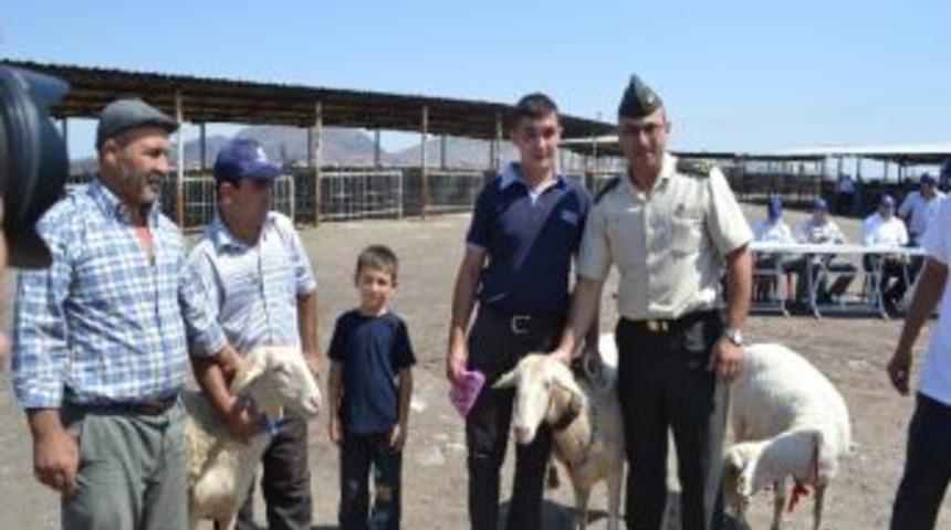 Kula'da En G&uuml;zel Buzağı, Ko&ccedil;, Koyun Ve Ke&ccedil;i Yarışması