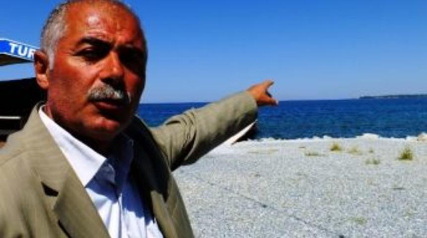 Van G&ouml;l&uuml; Canavarı Sayısı 3&rsquo;e Mi &Ccedil;ıktı?