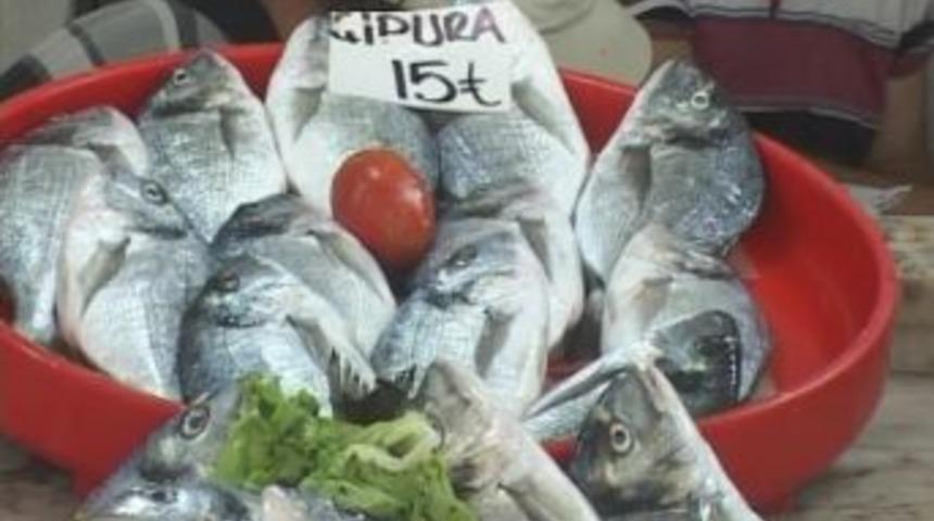 Balıkhaneye Hareket Geldi