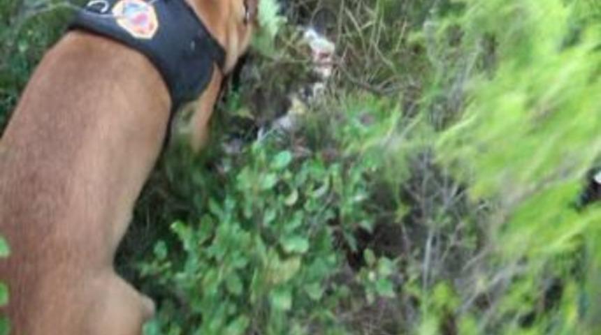 Berlingo Buldu, Polis Kamerası Kaydetti