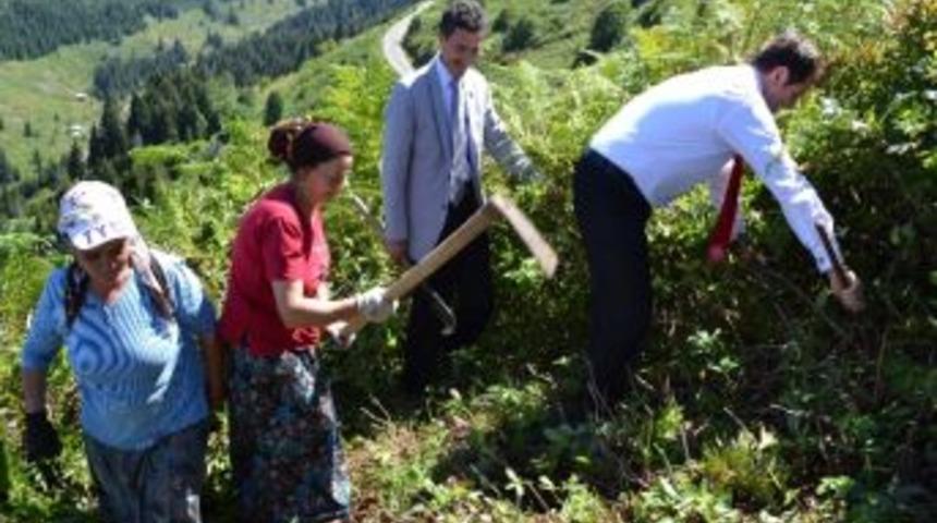 Kadın İş&ccedil;iler &lsquo;kadın Hatıra Ormanı&rsquo; Kuruyor