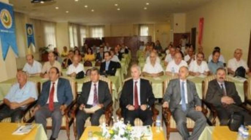 Fıstık &Ccedil;amı Alanları Genişliyor