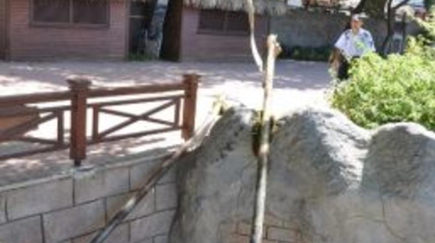 Manavgat Irmağı&rsquo;nda Temizlik &Ccedil;alışmaları