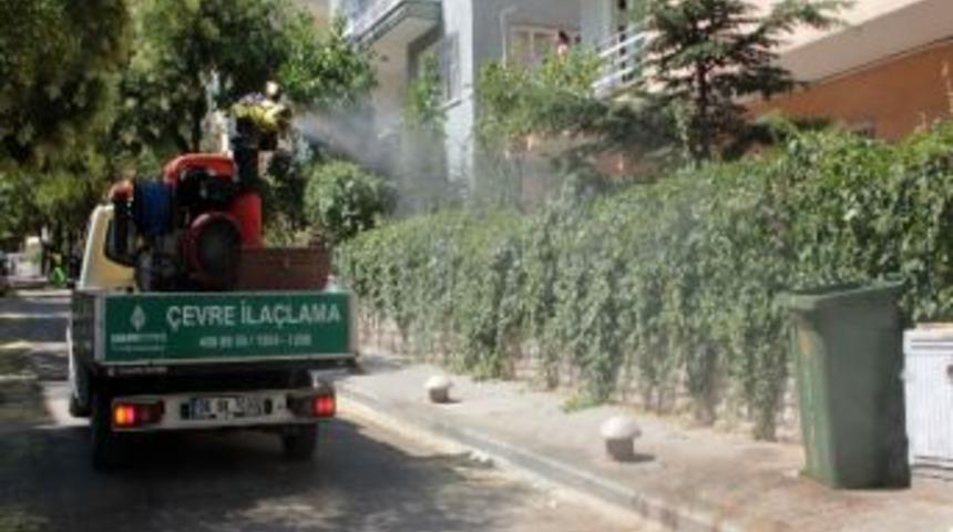 &Ccedil;ankaya&rsquo;da İla&ccedil;lama Devam Ediyor