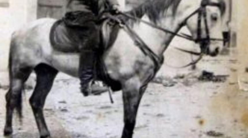 &lsquo;yorgun D&uuml;şen At&rsquo; 90 Yıl Sonra Ortaya &Ccedil;ıktı