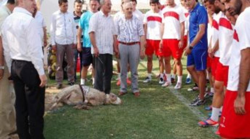 Denizli Belediyespor Kurban Kesti