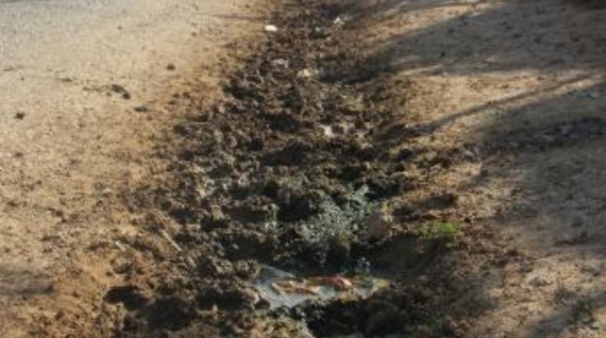 Mardin'de Sıtma Salgını