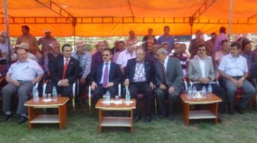 Dodurga Belediyesi K&uuml;lt&uuml;r Şenlikleri Yapıldı