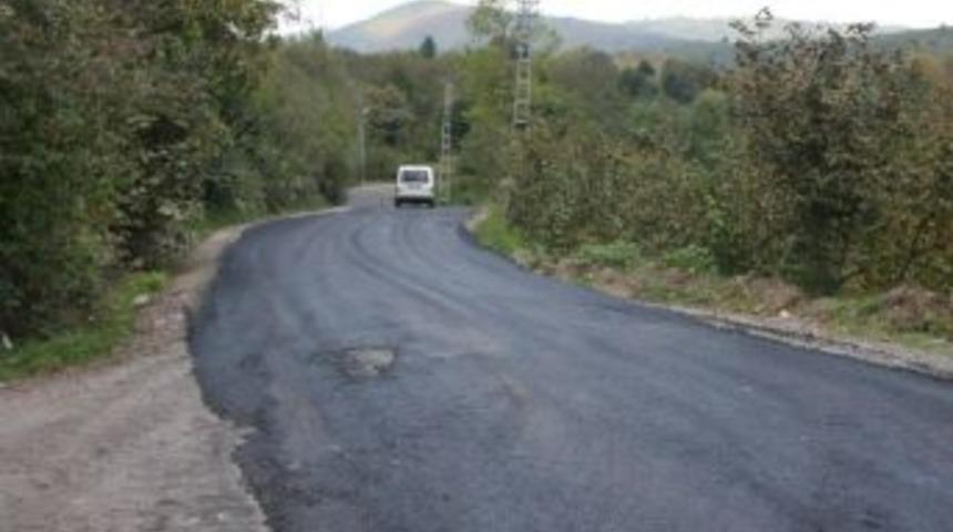 Şehit olunca yol birg&uuml;nde asfaltlandı