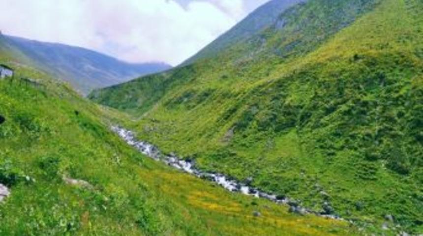 Doğa Tutkunlarının G&ouml;zdesi Avusor Yaylası