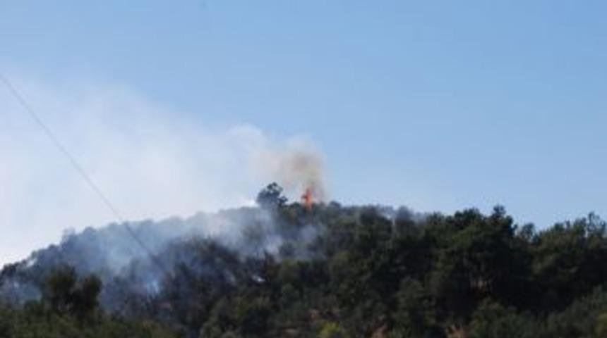 Mudanya'da Arazi Yangını Korkuttu