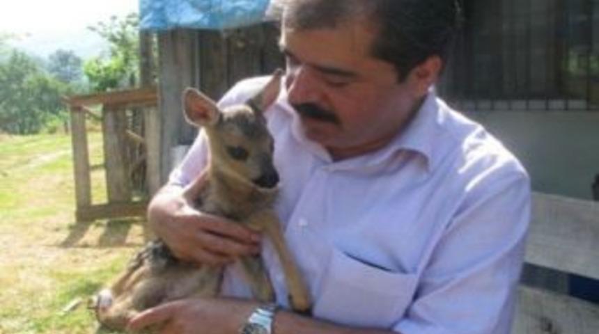 Yaralı Yaban Hayvanlarını Tedavi Edip Doğaya Bırakıyorlar