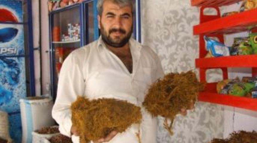 Meyan Kökü Yok Satıyor