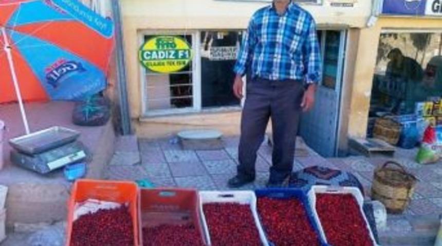 Hisarcık&rsquo;ta Kızılcık Fiyatları Dibe Vurdu