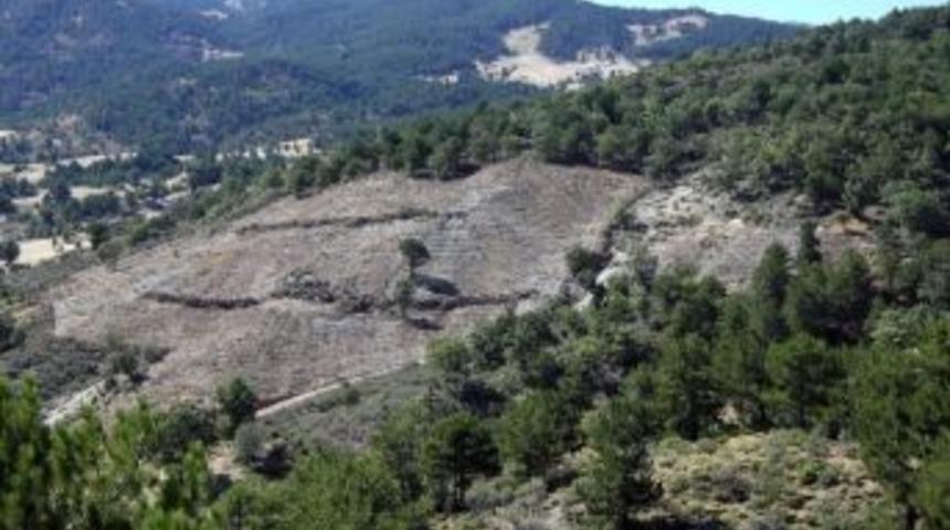 Toprak Hazırlığı &Ccedil;alışması Başladı