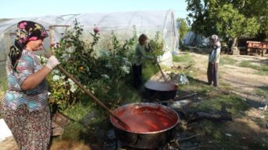 İznik&rsquo;te Organik Sal&ccedil;a Zamanı