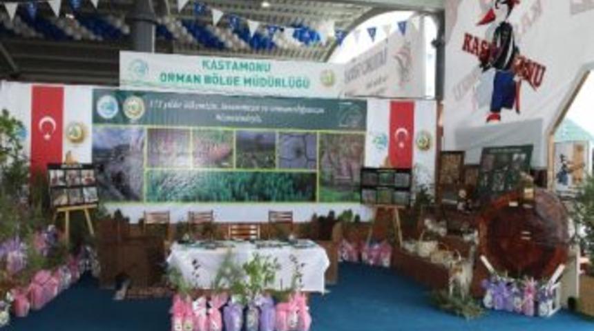 Kastamonu Ahşap Fuarı, Sona Erdi