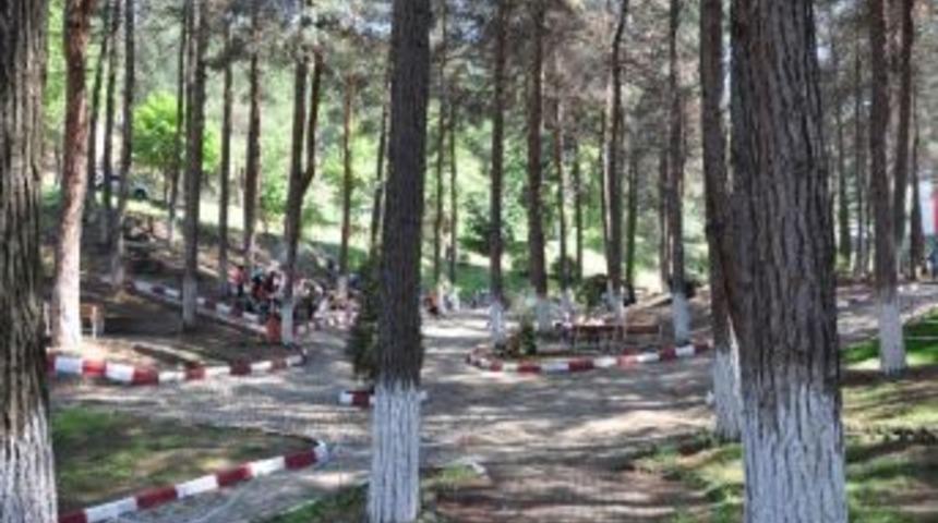 Niksar'a Kent Ormanı Kazandırıldı