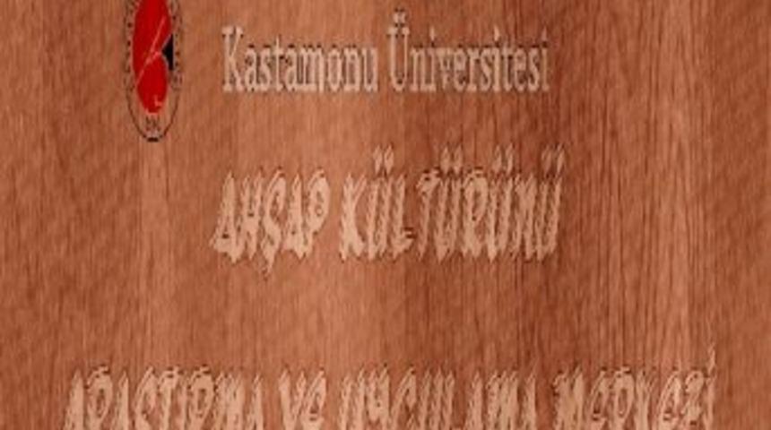 Kastamonu&rsquo;ya Ahşap K&uuml;lt&uuml;r&uuml;n&uuml; Araştırma Ve Uygulama Merkezi Kuruldu