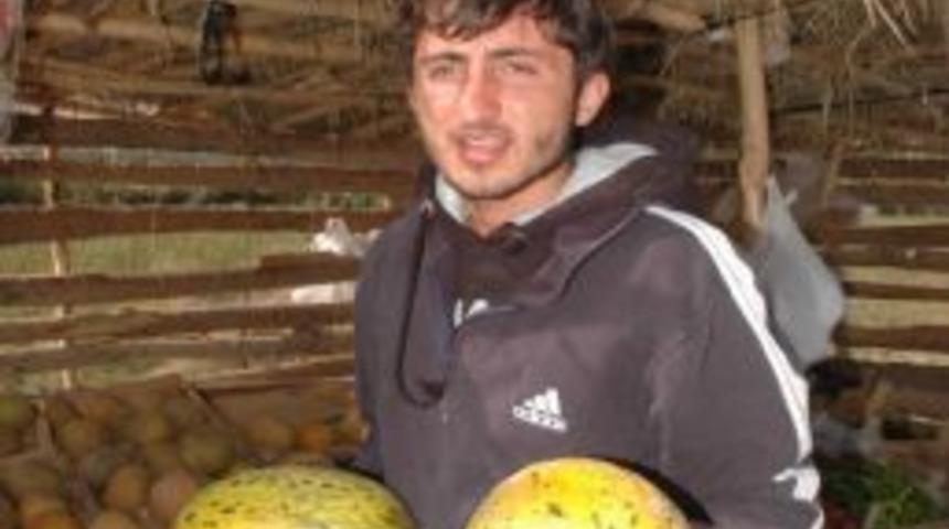 Tarladan T&uuml;keticiye Doğrudan Sebze Ve Meyve Satışı