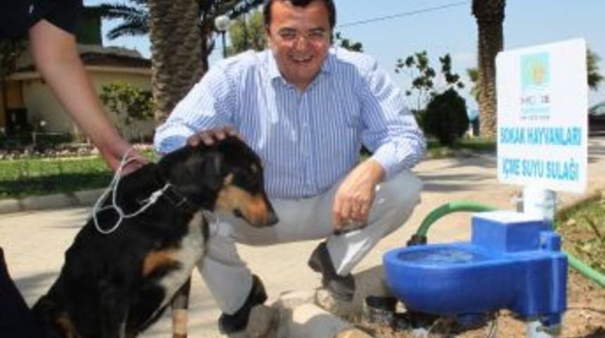 Narlıdere Keneyi Ortadan Kaldırdı