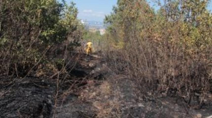Patates K&ouml;zlerken Ormanı Yaktılar