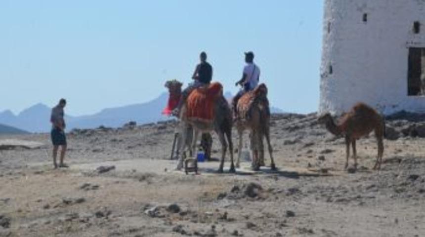 5 Tl Karşılığında Develerle Fotoğraf &Ccedil;ektiriliyor