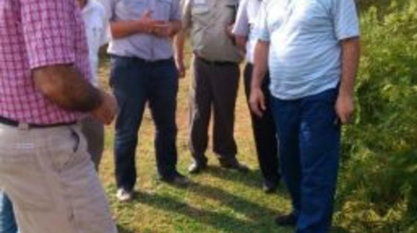 T&uuml;rkyılmaz Karasu&rsquo;da İncelemelerde Bulundu