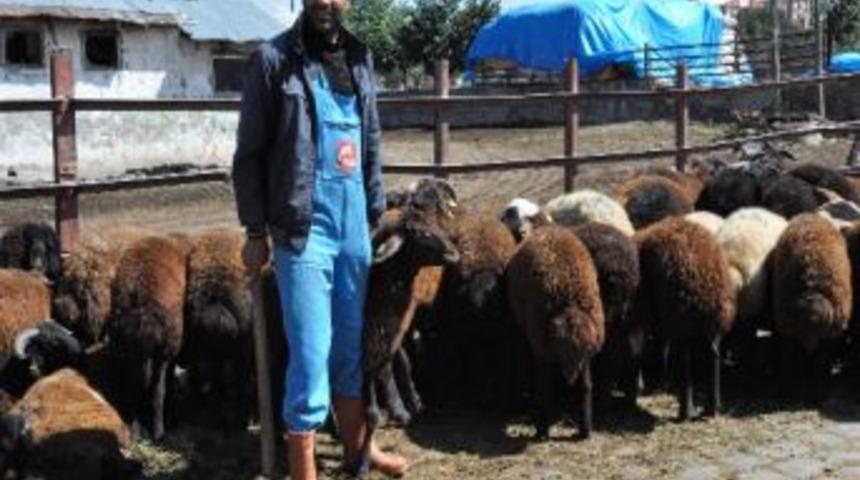 Kuraklık Besicileri Zor Durumda Bıraktı