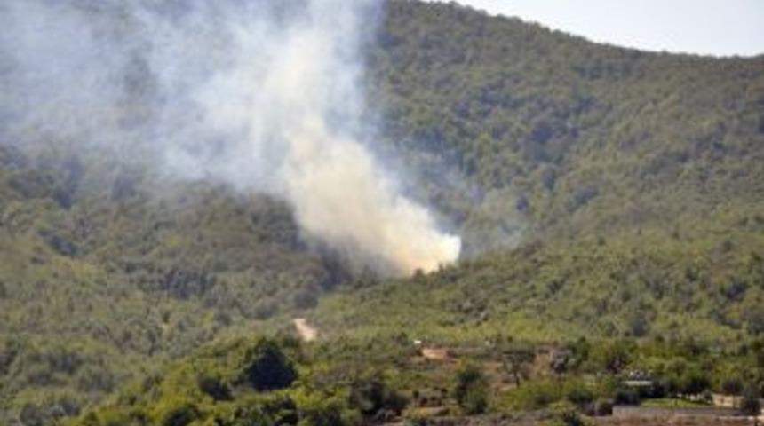 Paşakent'te Korkutan Yangın