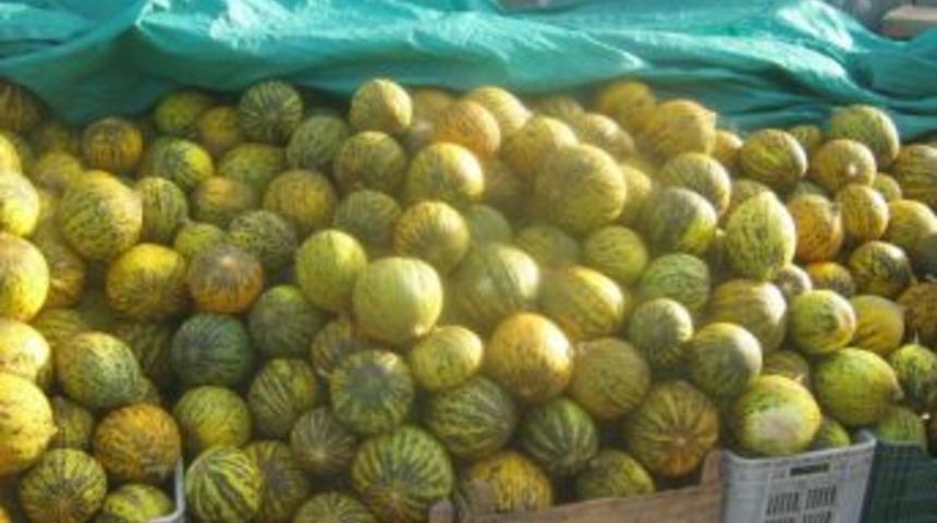 Meşhur Ankara kavunlarıTezgahları S&uuml;sl&uuml;yor