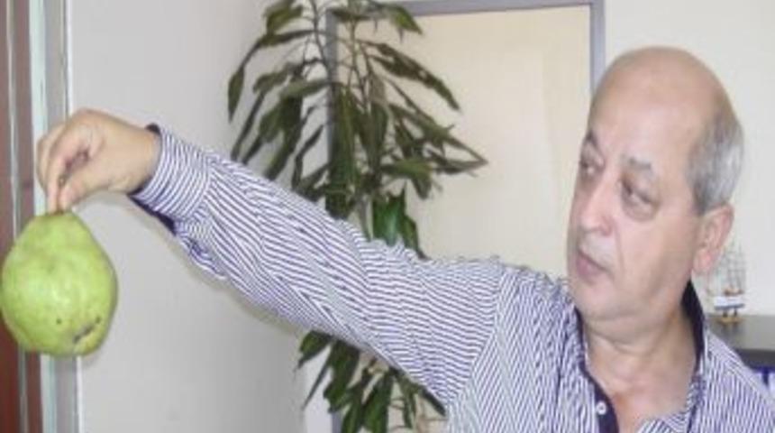 Dev Armut G&ouml;renleri Şaşırtıyor
