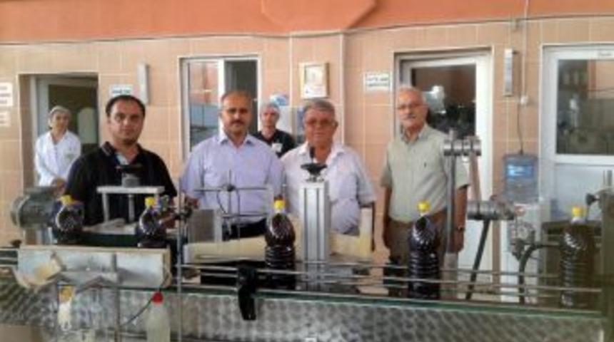 Kaymakam Peynircioğlu, Salihli Osb&rsquo;de İncelemelerde Bulundu