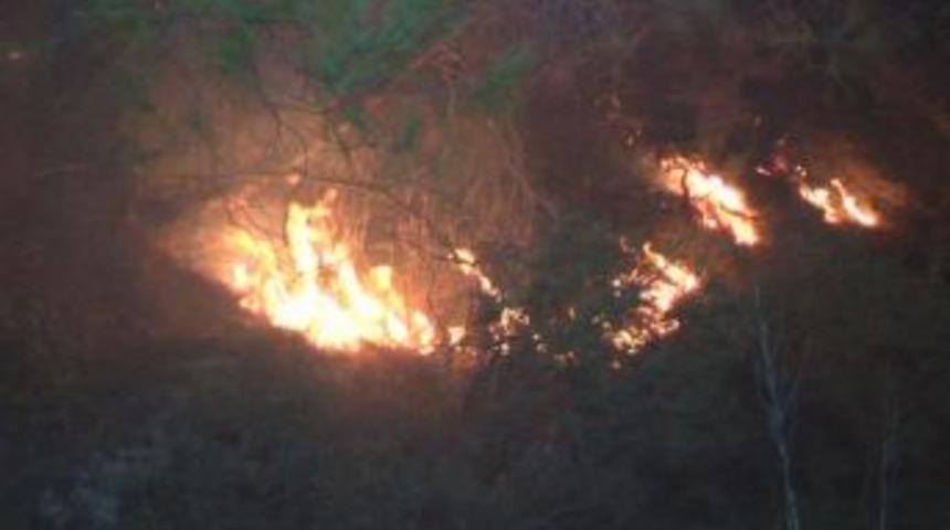 Dat&ccedil;a&rsquo;daki Orman Yangınında Sabotaj Ş&uuml;phesi