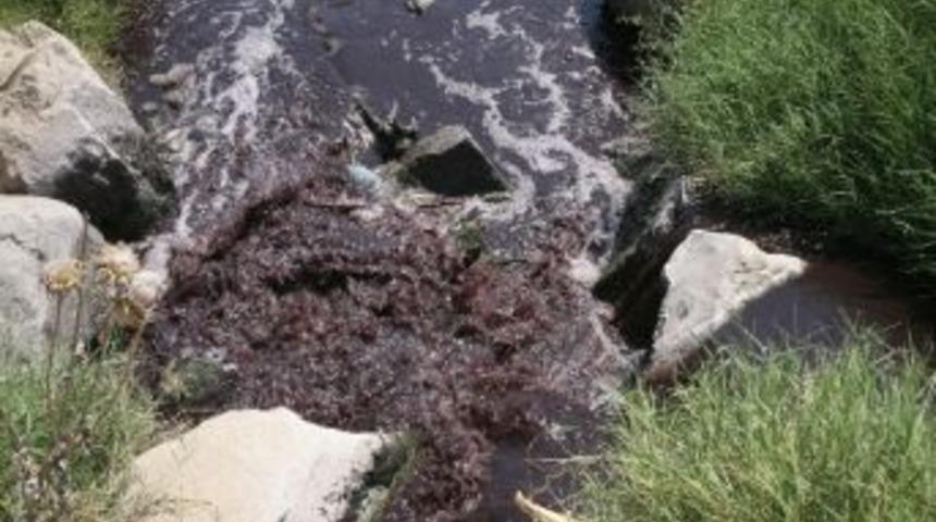&Ccedil;evreciler, Bu Kez K&uuml;&ccedil;&uuml;k Menderes Havzası'ndaki Kirliliğe Dikkat &Ccedil;ekmek İ&ccedil;in Pedal &Ccedil;evirecek