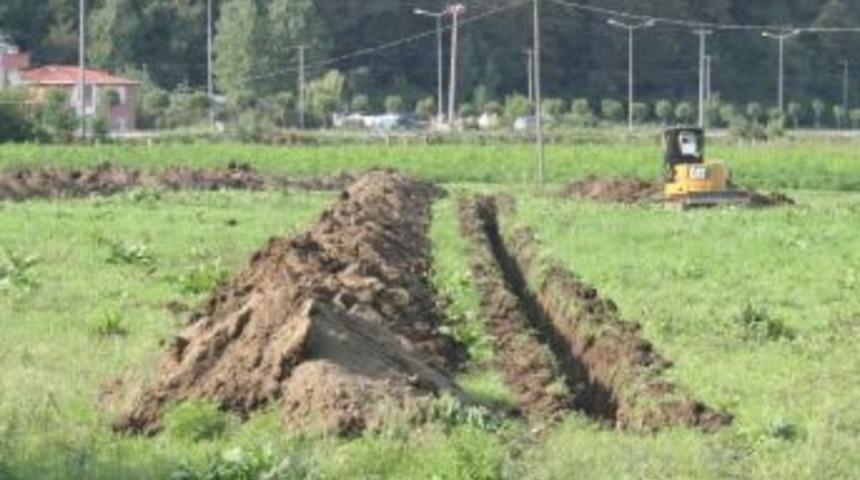 Ordu Botanik Bah&ccedil;esine Kavuşuyor