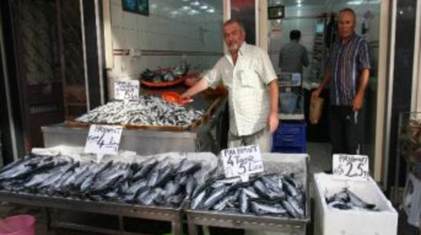 Ordu&rsquo;da Palamut 2.5 Lira