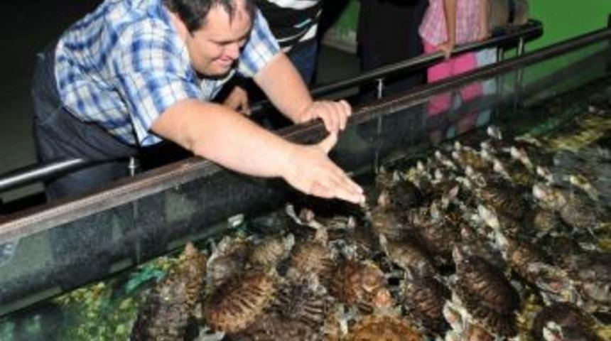 Engelliler, Balıklarla Rehabilite Oluyor