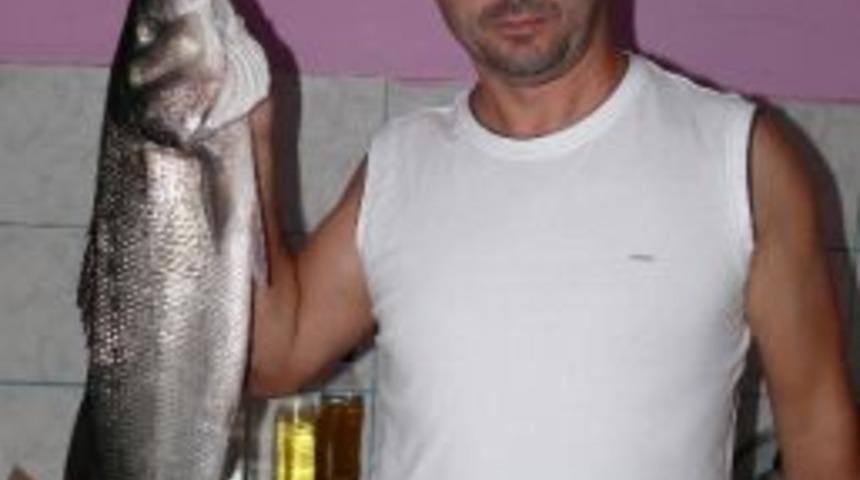 4 Kilo 75o Kilogram Levrek