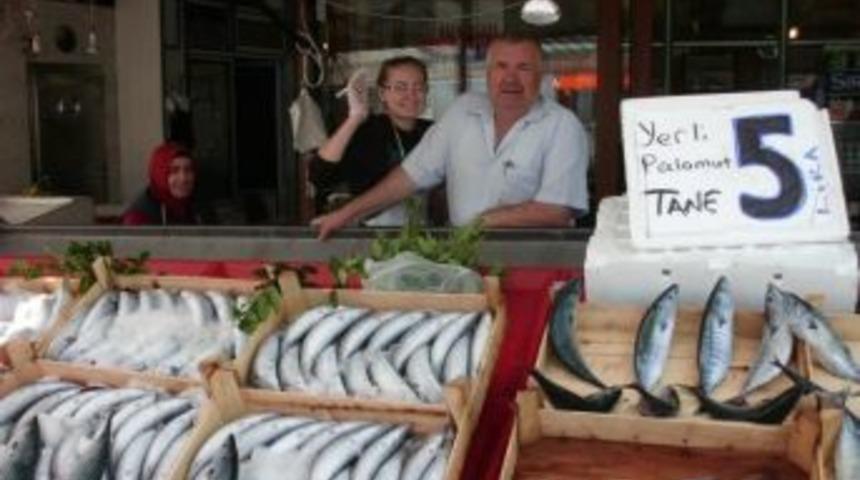 Alaplı'da Balık Fiyatları d&uuml;şt&uuml;