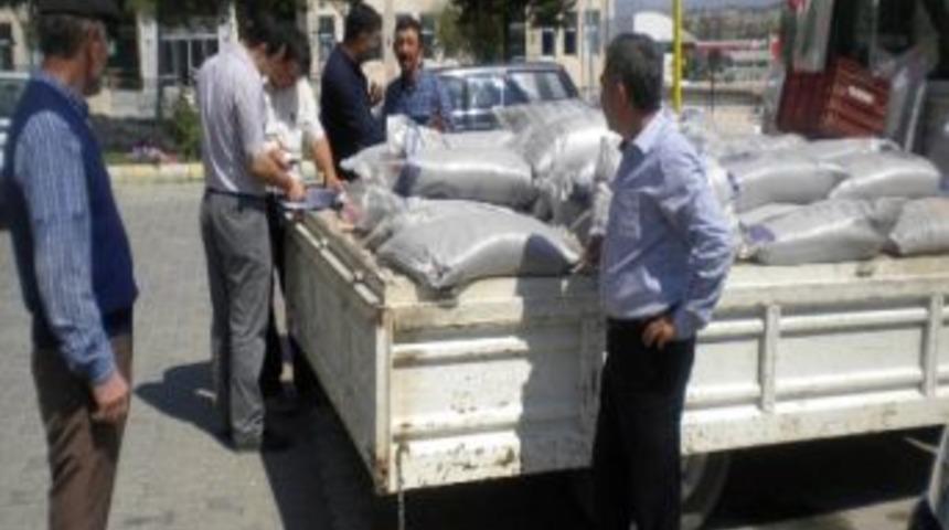 32 &Ccedil;ift&ccedil;iye Sertifikalı Macar Fiği Tohumu