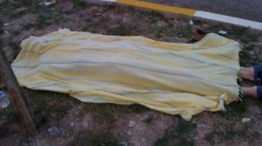 Ecel Yolcuyu Minib&uuml;ste Yakaladı