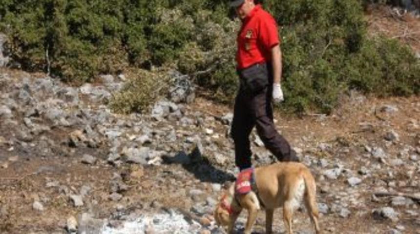 Eksen, Sabotajcıların Peşinde