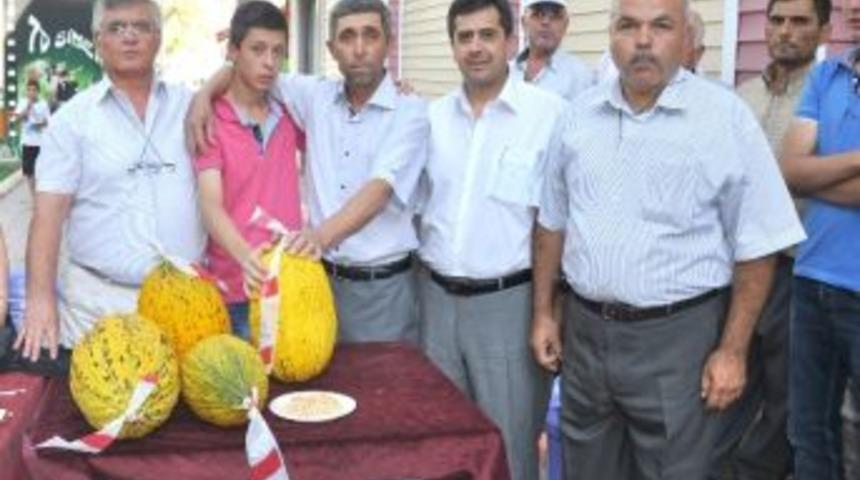 D&uuml;nyaca &Uuml;nl&uuml; Kırkağa&ccedil; Kavunları Yarıştı
