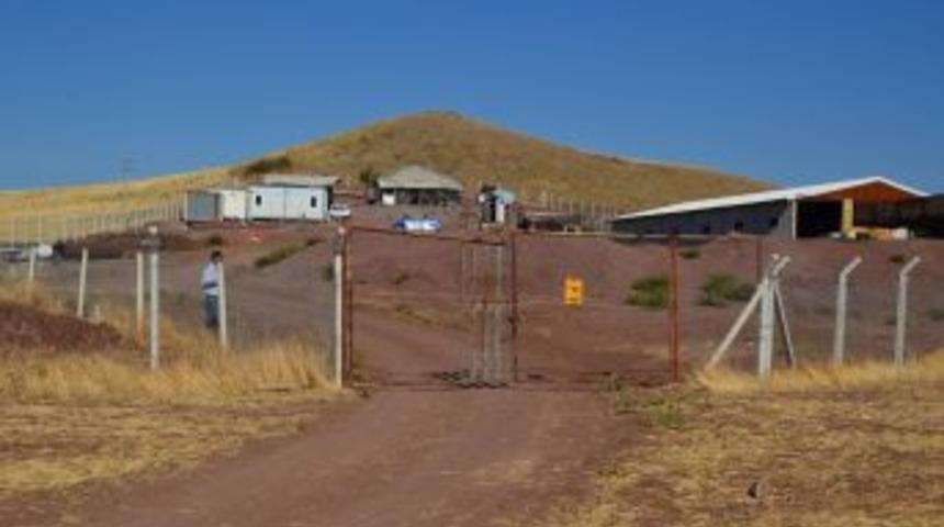 Hırsızlar Tel &Ouml;rg&uuml;y&uuml; Keserek Koyunları &Ccedil;aldılar