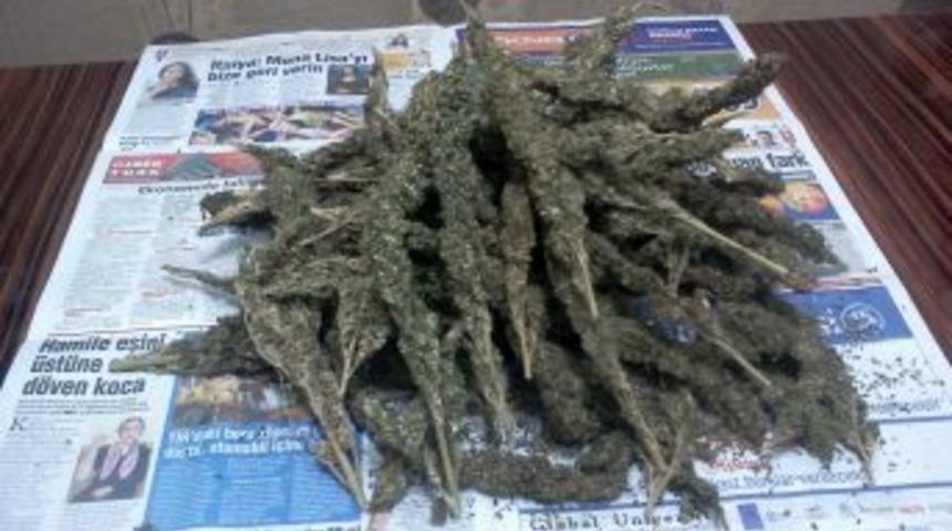 Mardin Ve Malatya'da Toplam 49 Kilogram Esrar Ele Ge&ccedil;ririldi