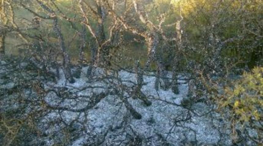 Divriği&rsquo;de Arazi Yangını